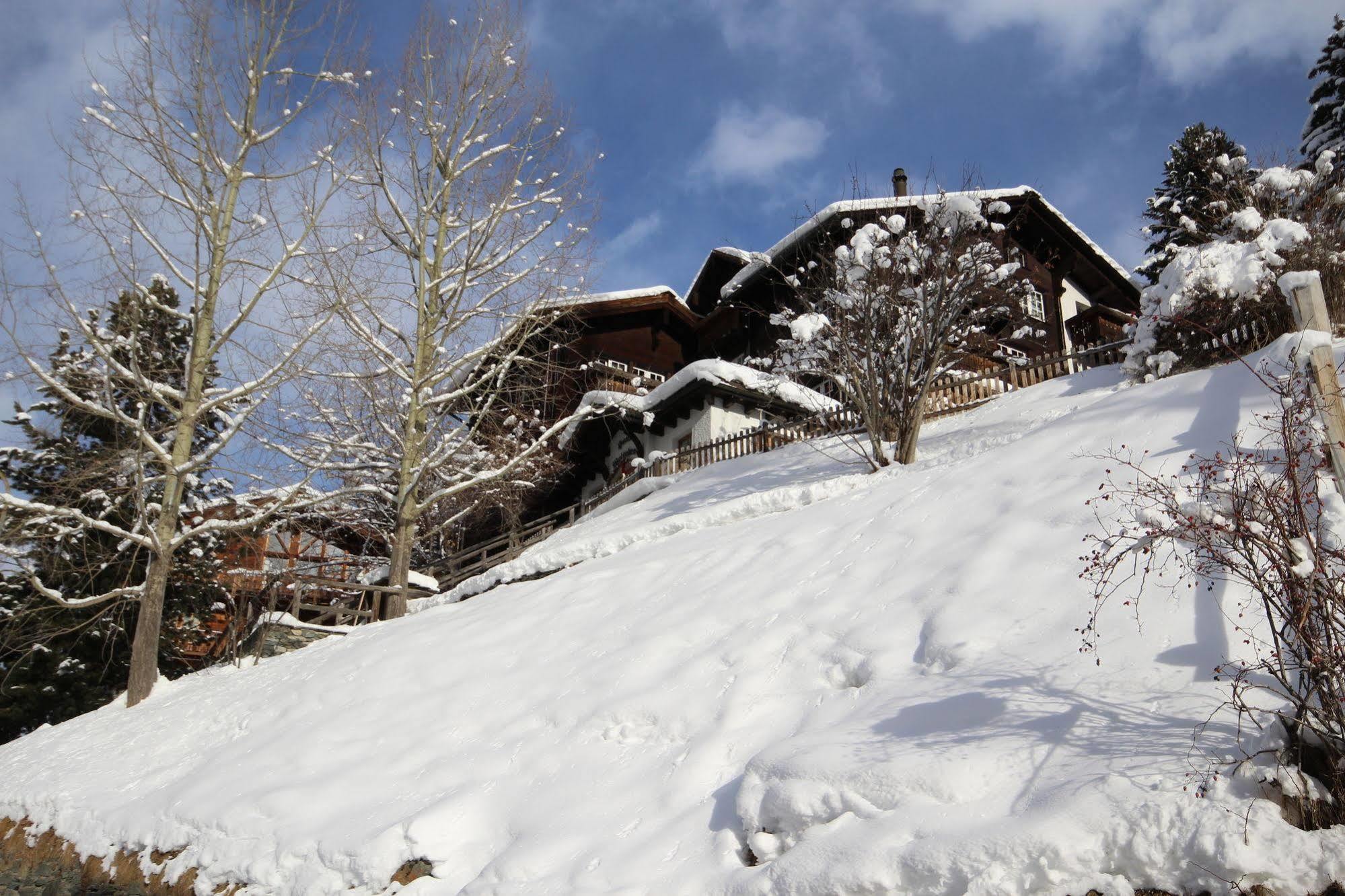 Welschen Hotel Zermatt Exterior foto